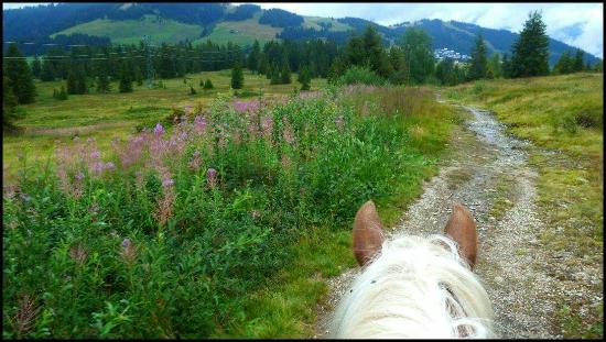 un grand bol d air de