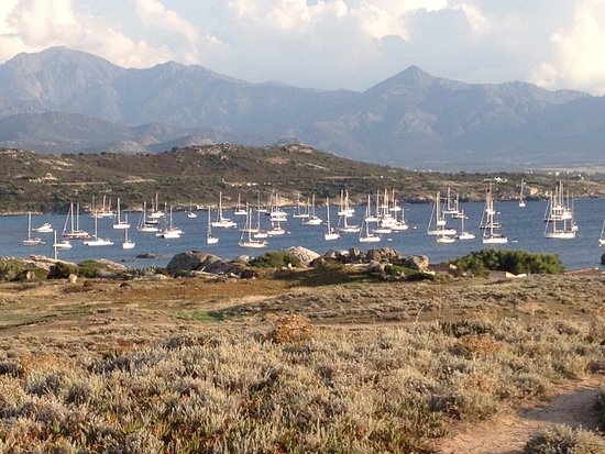 un jour de fort vent