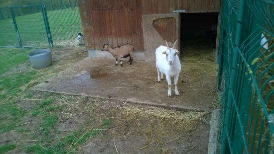 un petit exemple des