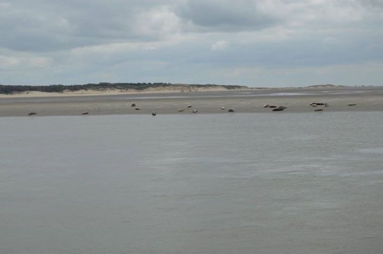 une belle petite colonie