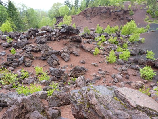 une superbe clairiere