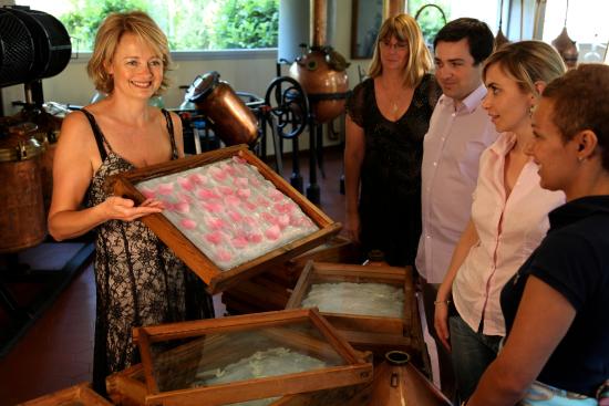 usine et musee galimard