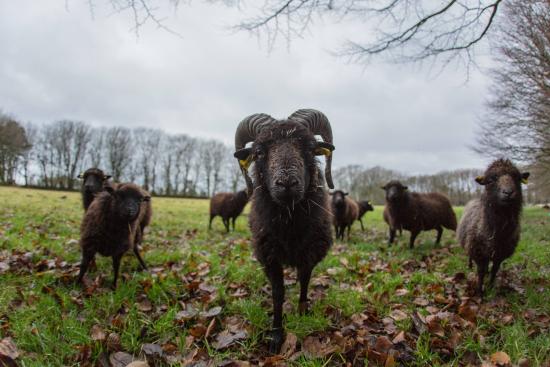 venez reencontrer les