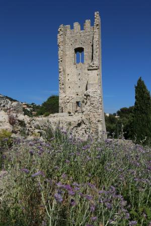 vestiges du chateau feodal