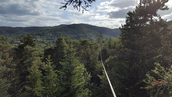 view from the top of