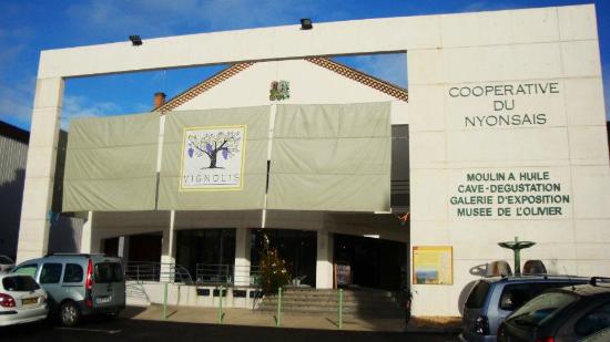 vignolis cooperative