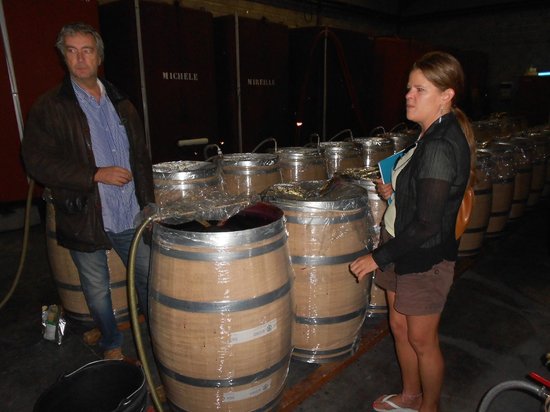 vin d ange wine tours