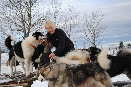 visite de parc visite