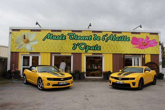 visites au musee des