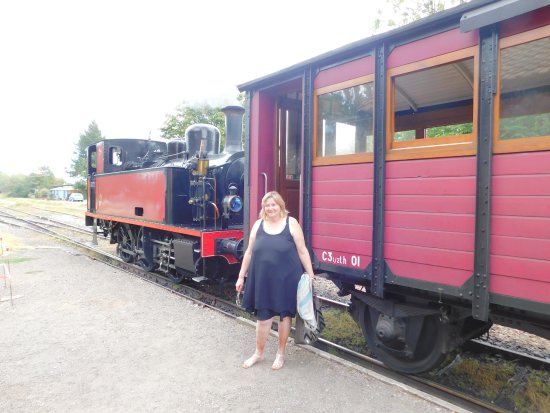 voyage dans ce wagongenial