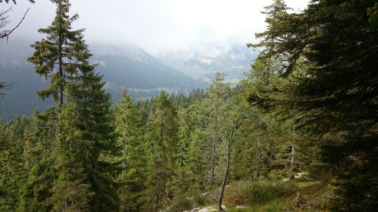 vue depuis la montagne