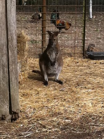 zoo du bois d attilly