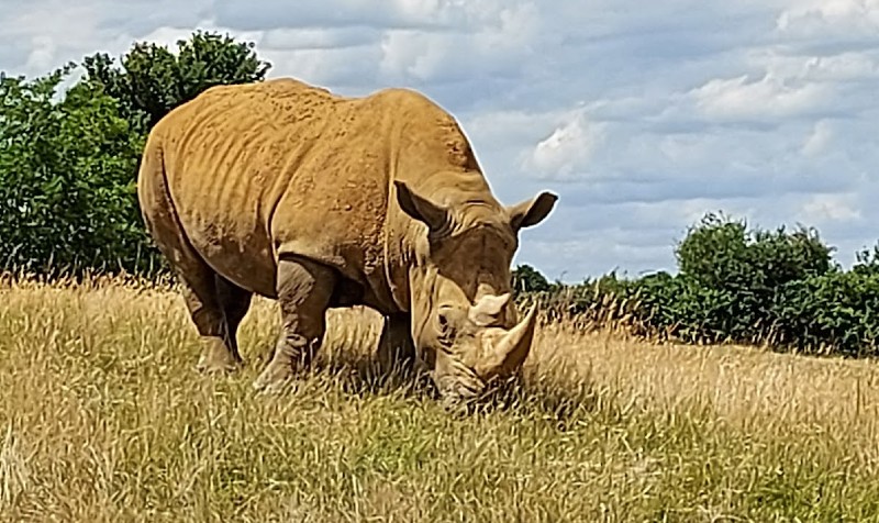 zoo boiserie près de Nantes