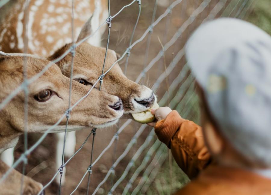 Zoo toulouse